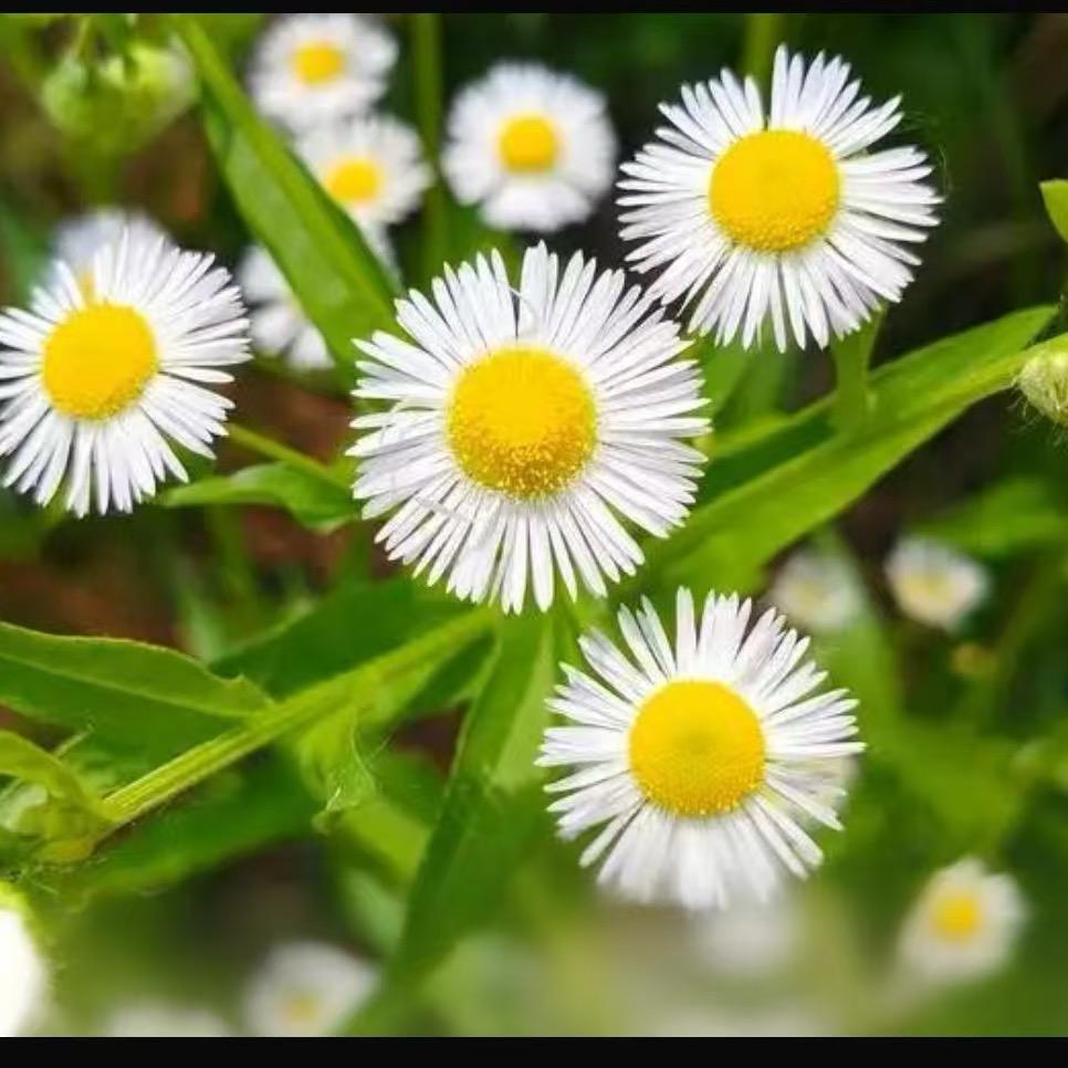 墨韵🍅书屋🍒🥦