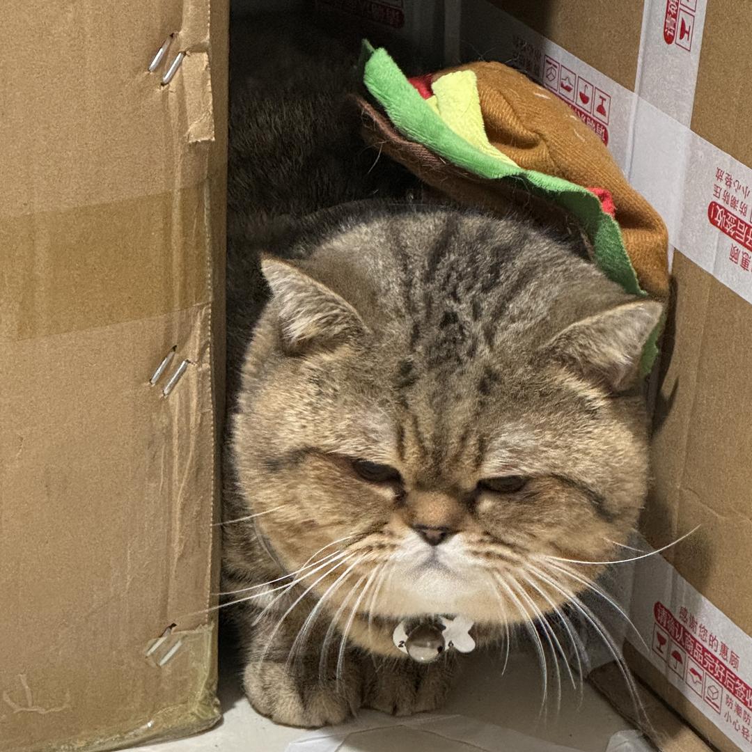 尼彩好玩优品