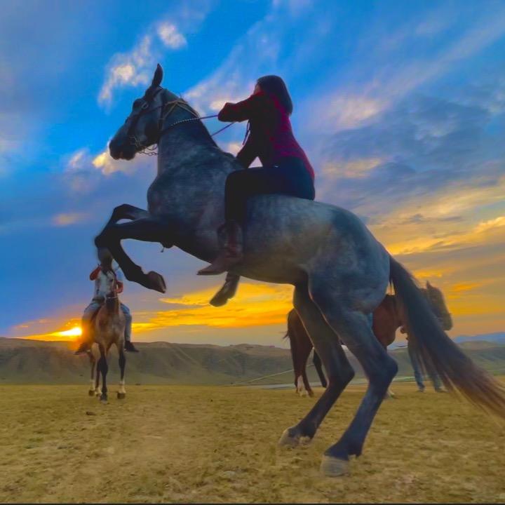 马背以外🐎Lydia