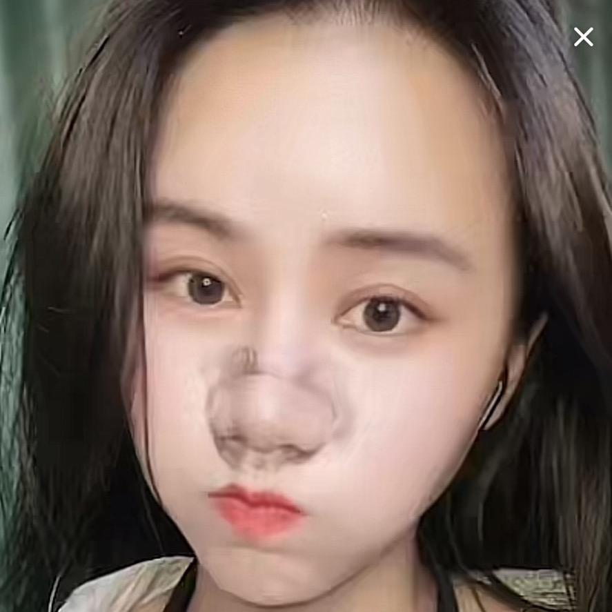 飞飞飞飞