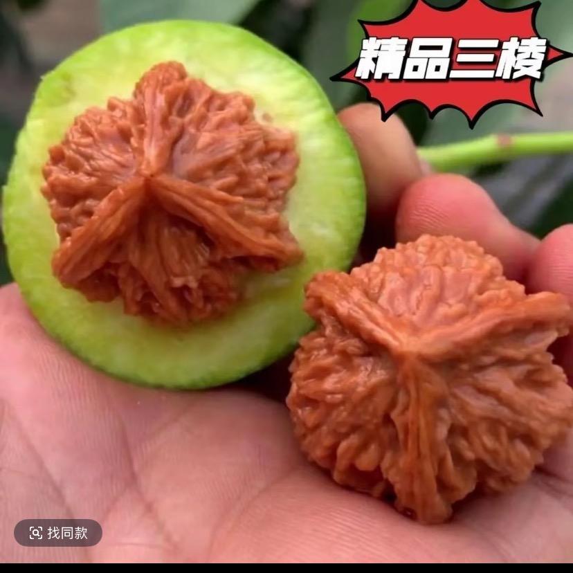 四棱专场