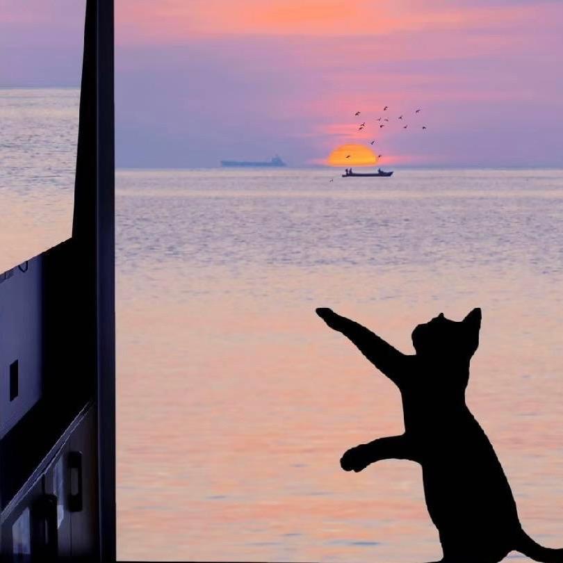周末不调闹钟