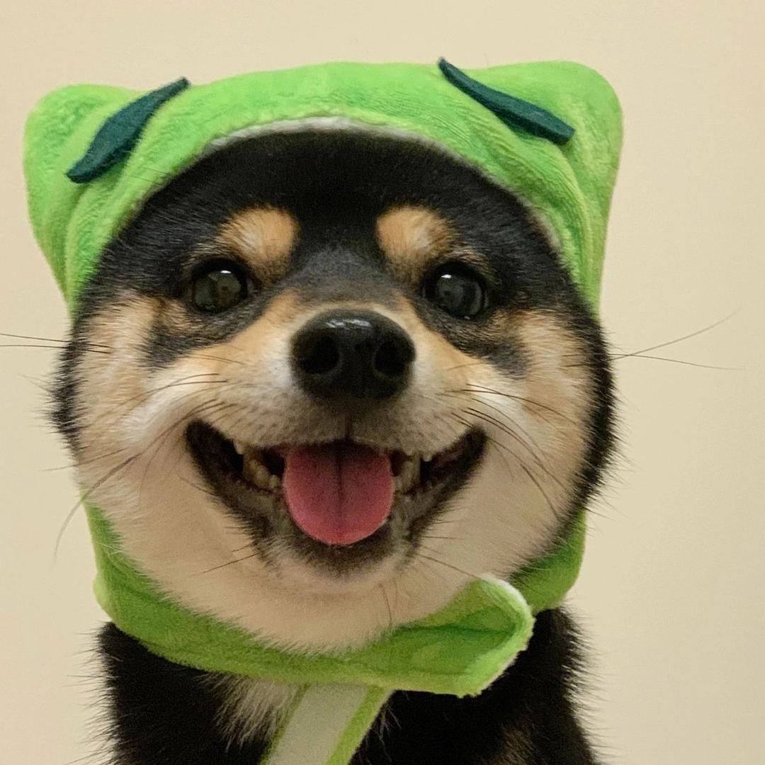 星上软