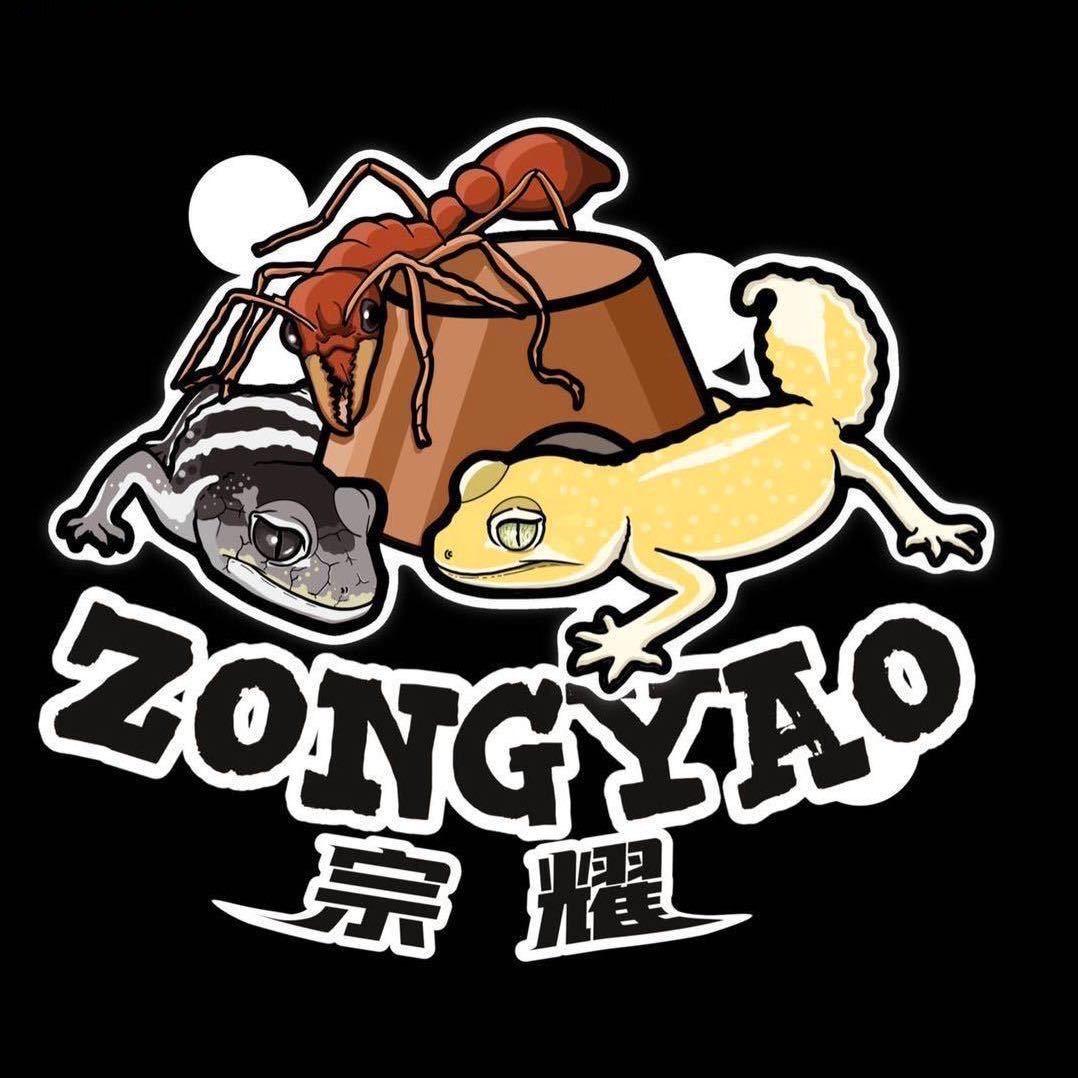 宗耀爬宠商城