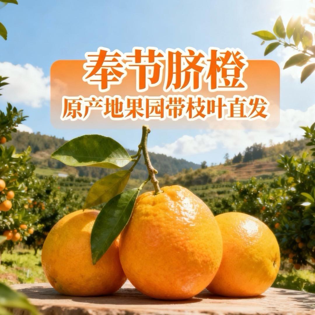 重生之我在奉节卖脐橙