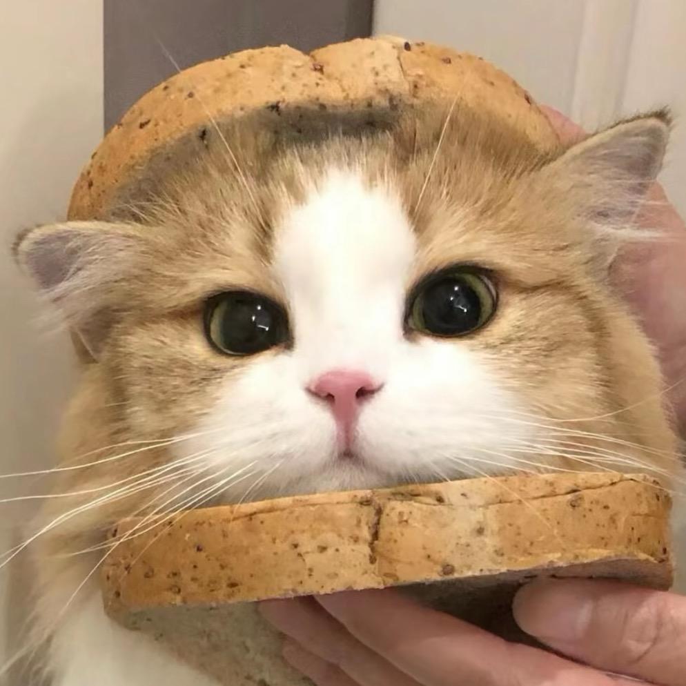 草莓真甜