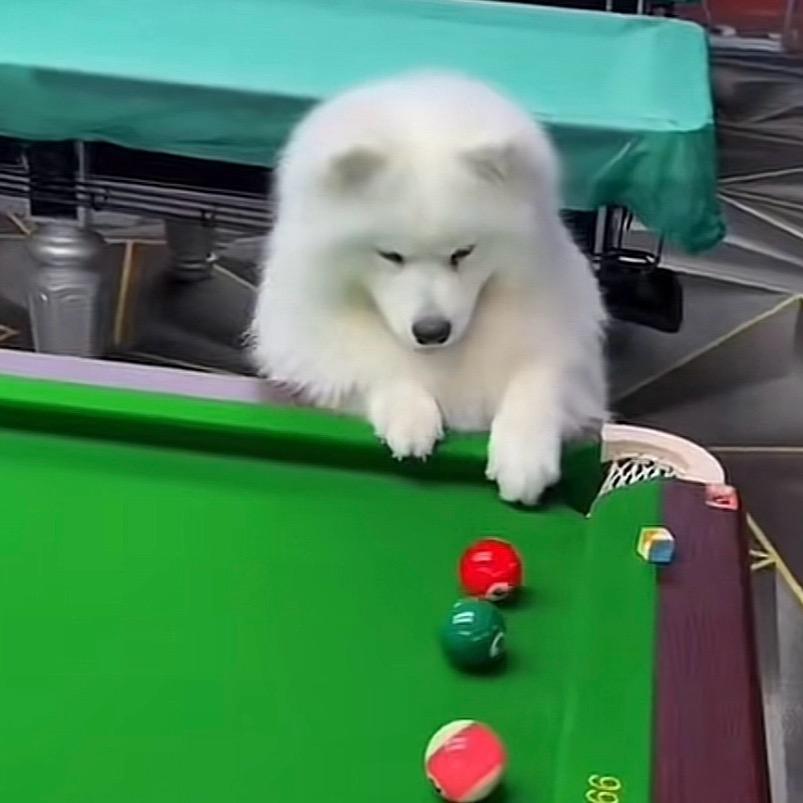 黑🎱桌球俱乐部