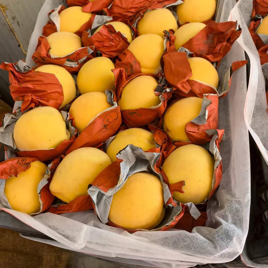 砀山县淄丹果蔬种植专业合作社