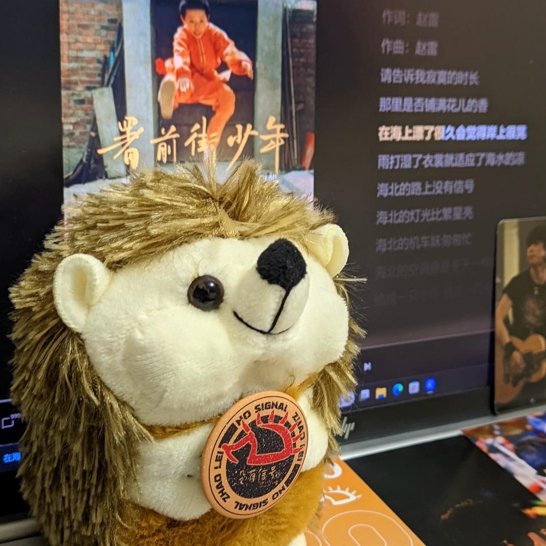 听赵雷不倒霉🦔