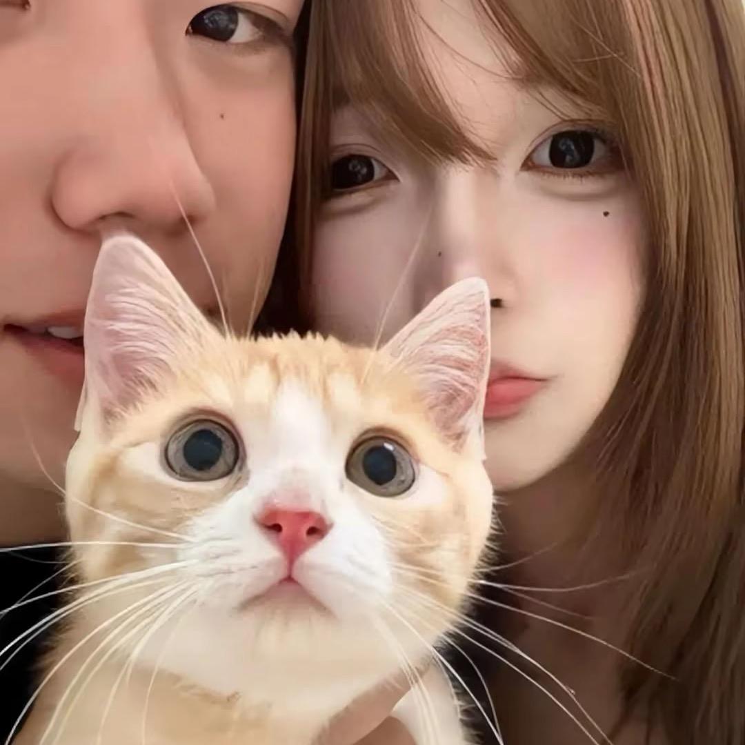 新恋情