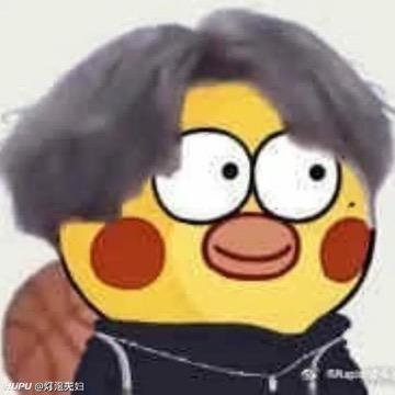 🌈无敌小只因