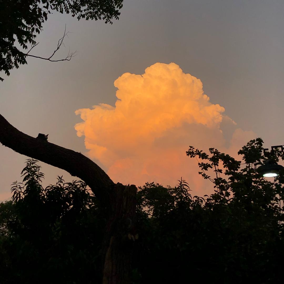 尤点甜的碎碎念