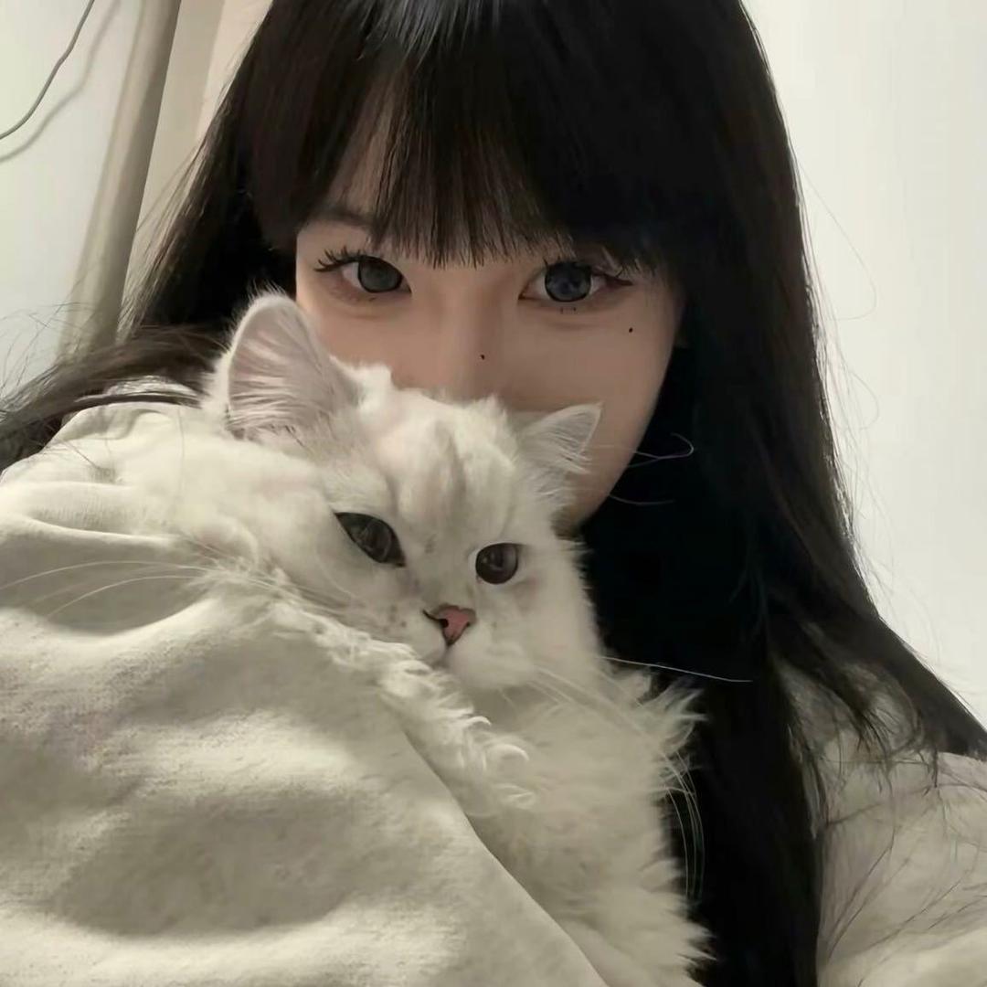 王者荣耀晴晴子