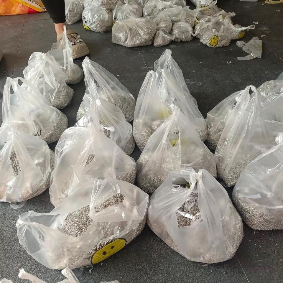 宝妈在家做手工