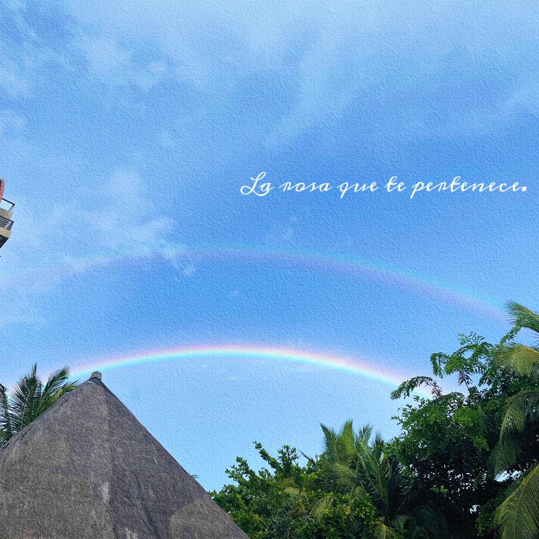 番茄芭比🌈