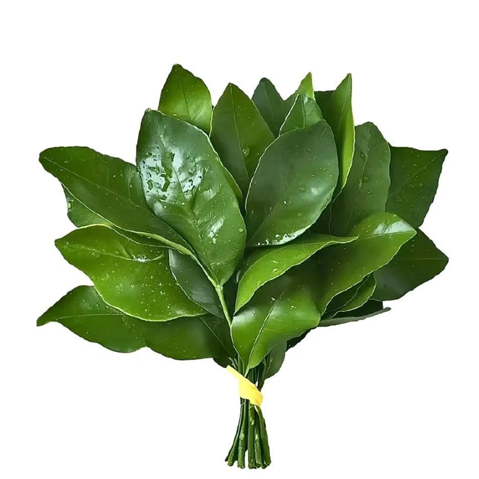 打卡不上班