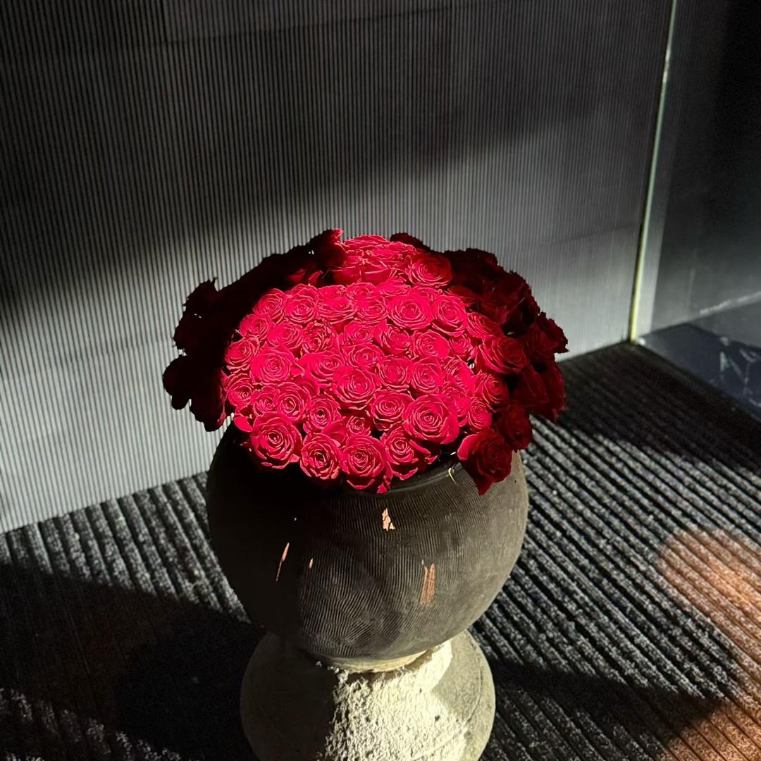 𓏸𓂂𓈒🐟 𓆡𓆝𓆟𓆜 𓆜