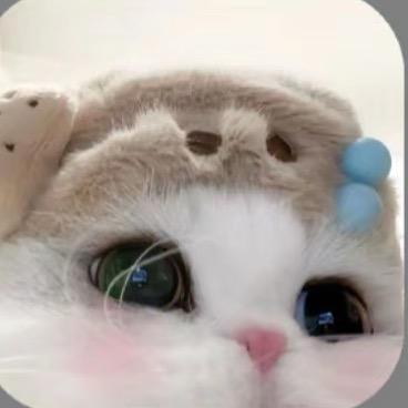 ʕ •ᴥ•ʔ