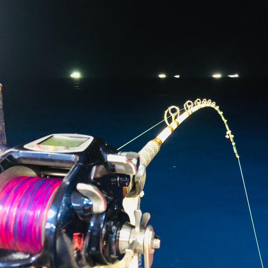 連連有魚¹⁰¹⁶