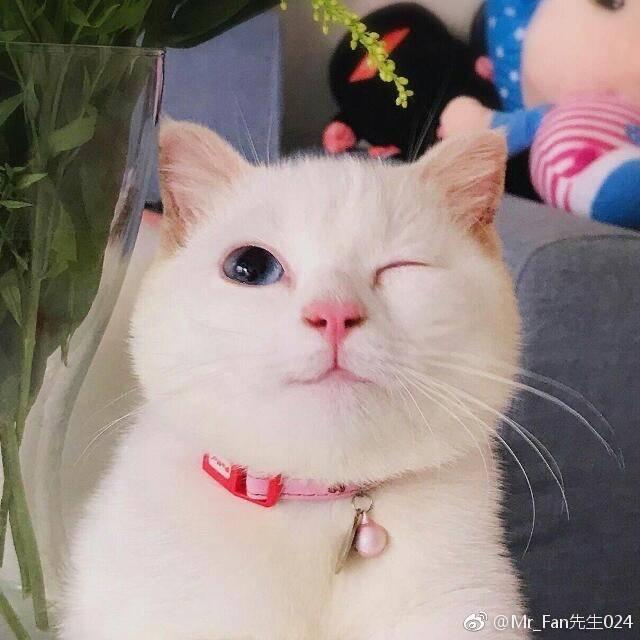 夜漫雨