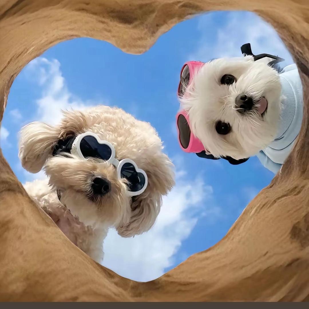 小小超哥