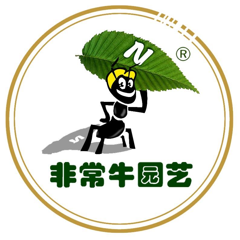 【非常牛园艺】·王德松