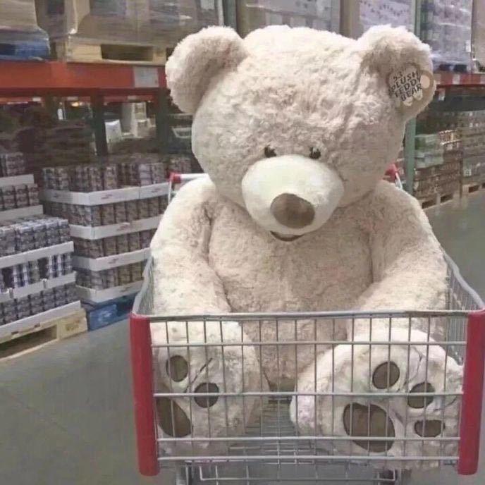 🧸不争