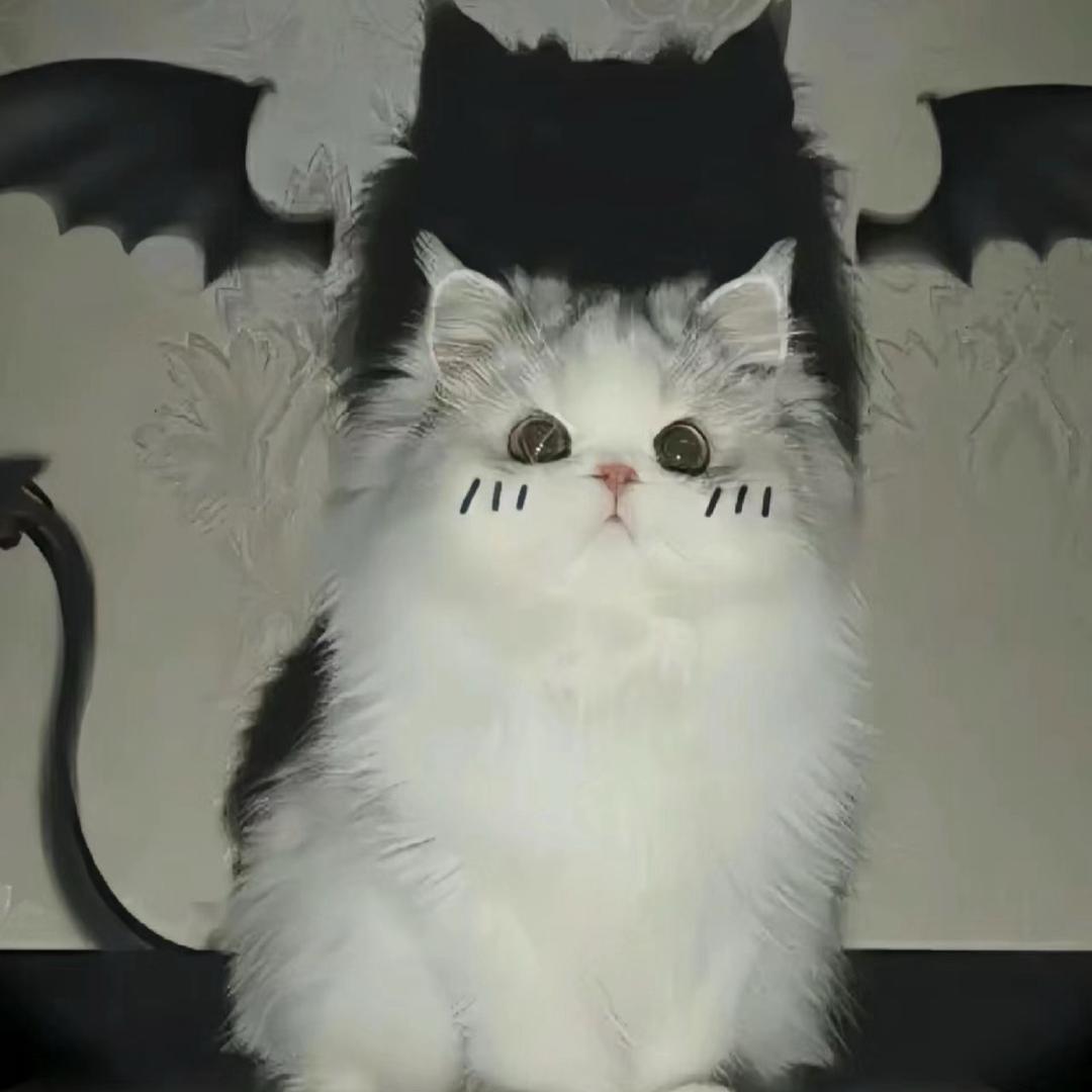 艾派克斯路边一条