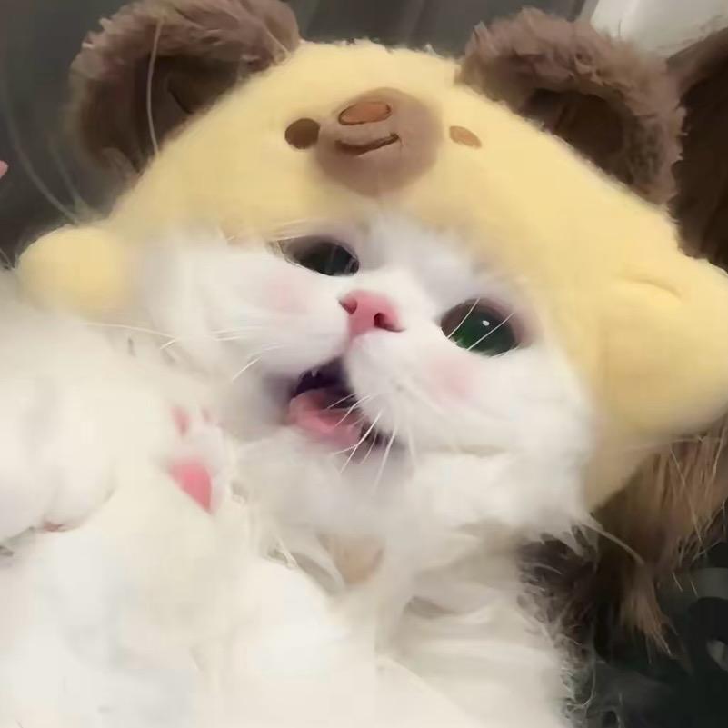 就是睡觉