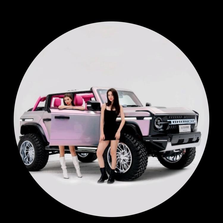 廊坊睿铃城市SUV