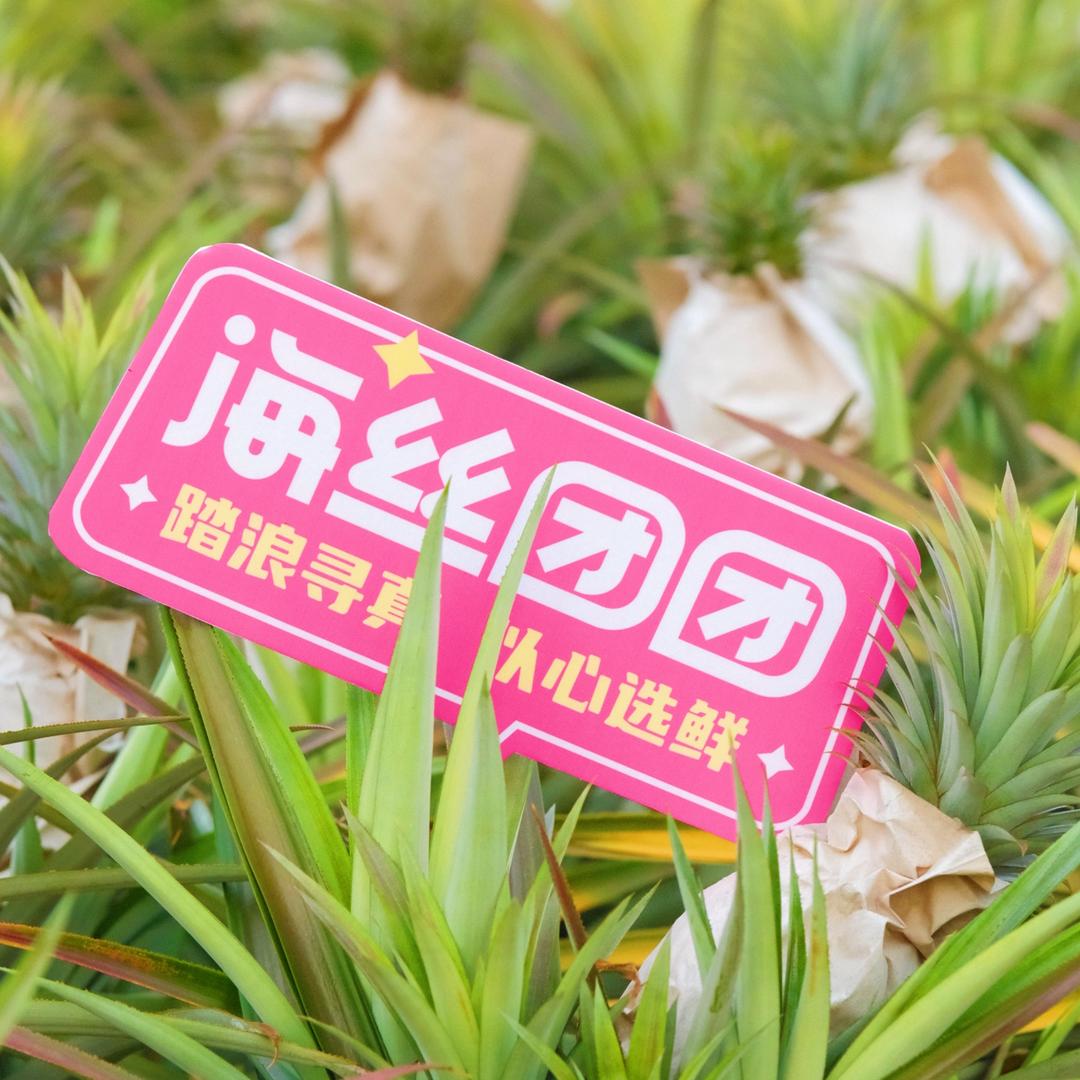 海丝源头助农优选店