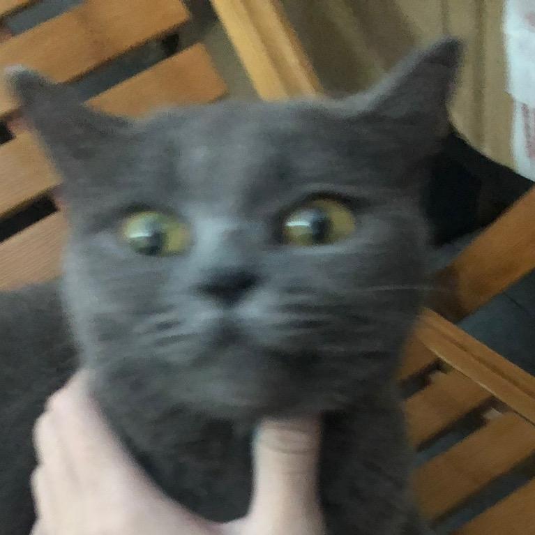 邱百万^