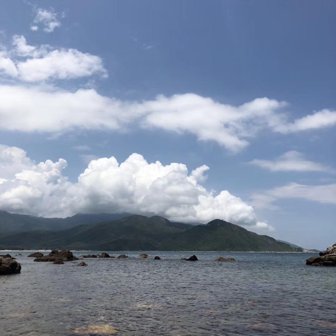 新🌟呈相怑