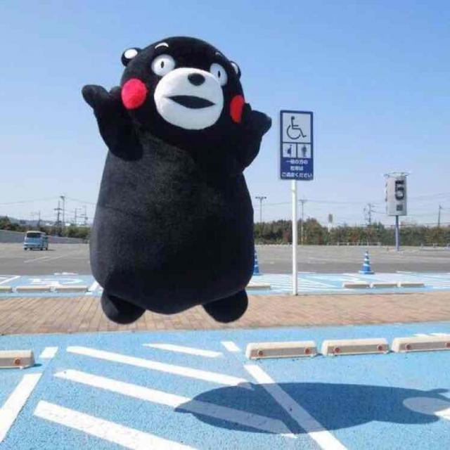 超哥哥QAQ
