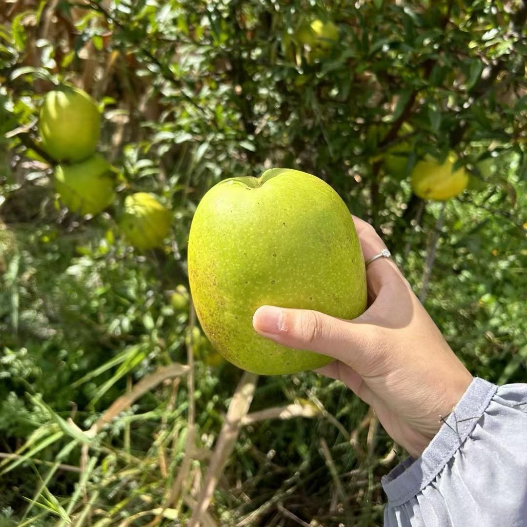 “饼饼”❤️美物分享