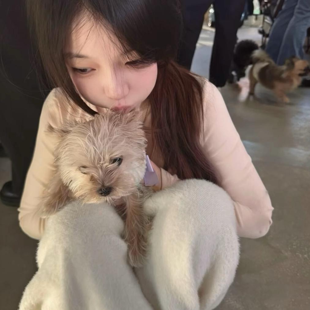 犯困的蛋挞