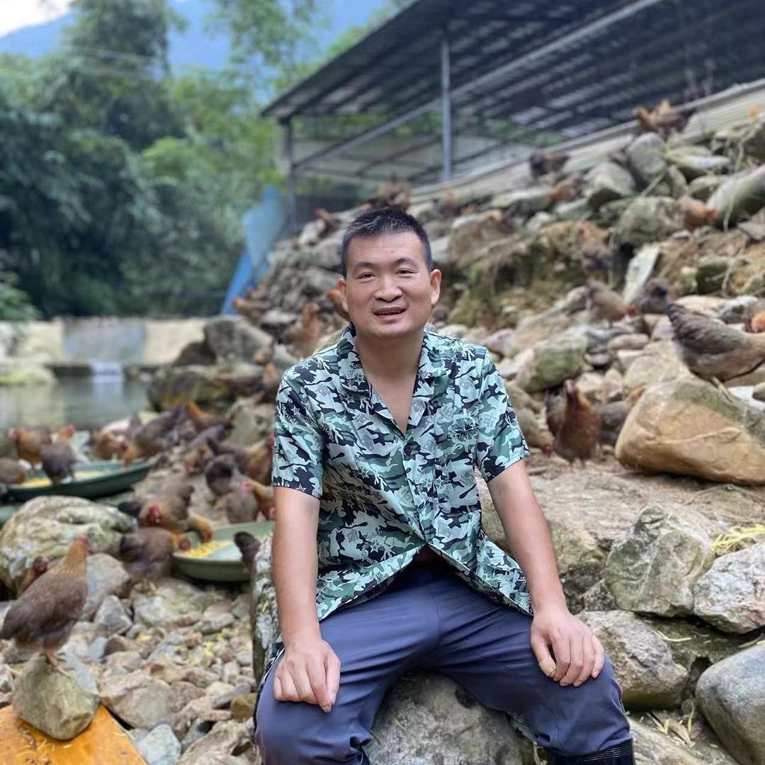 小陈夫妇清远鸡