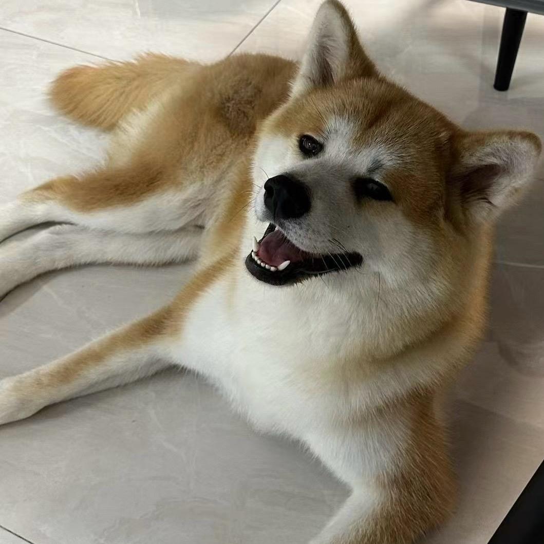 瑞秋是个大俊头