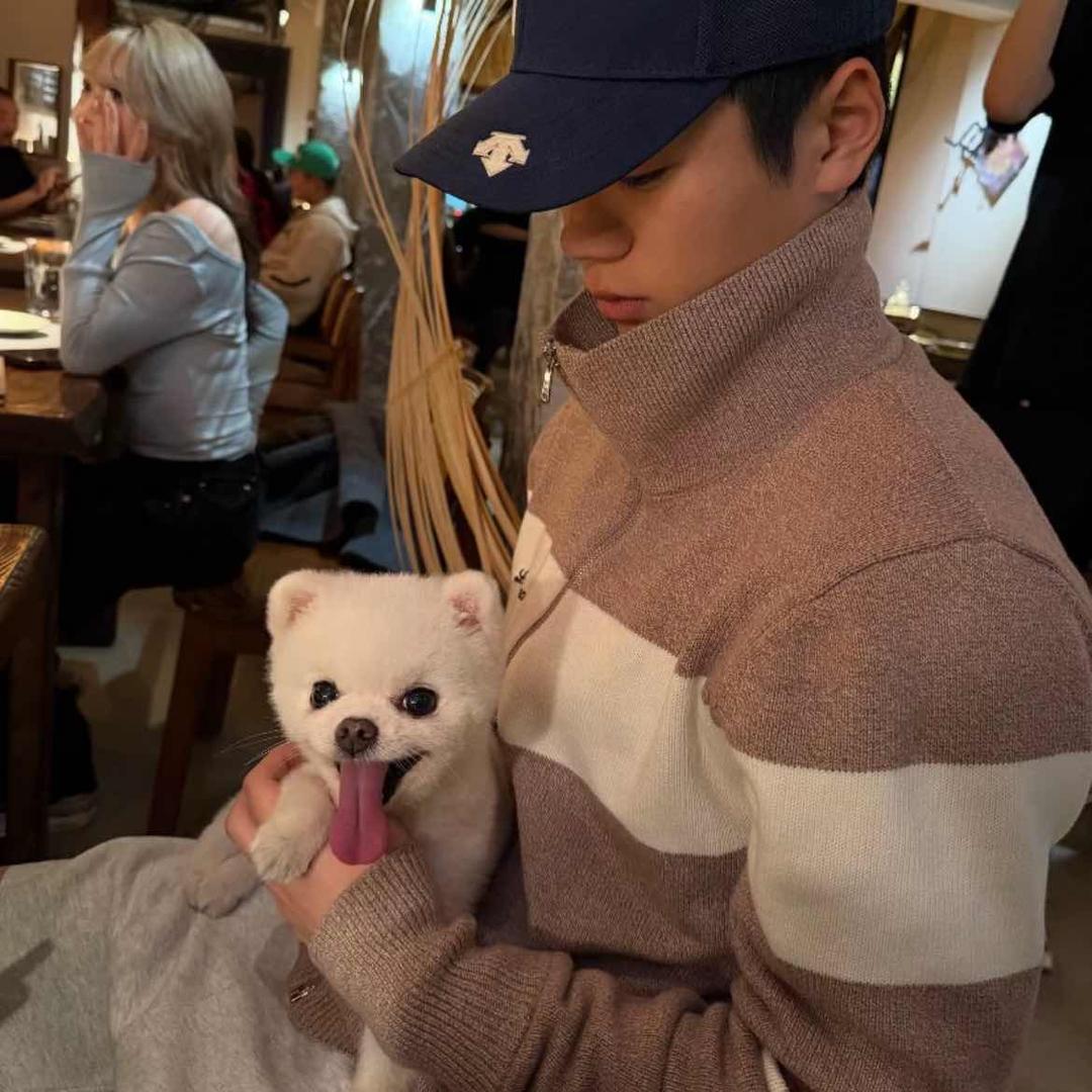 当时只道是寻常