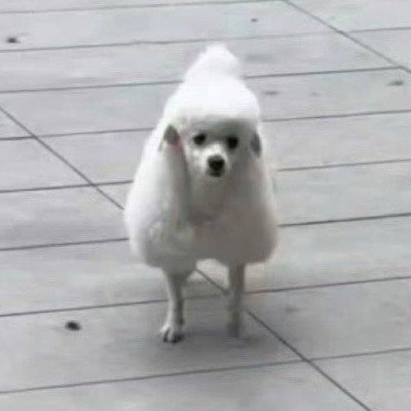 _哼哼妈