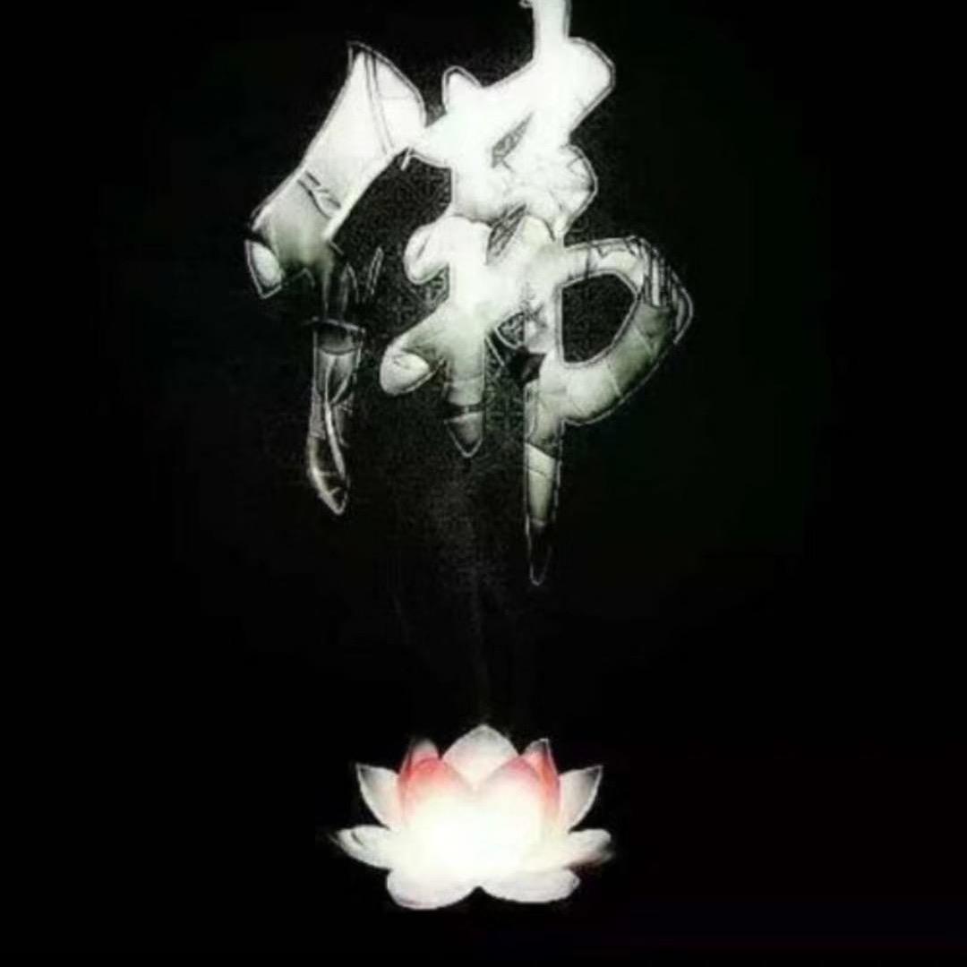 自由人(桃源店)宠粉号