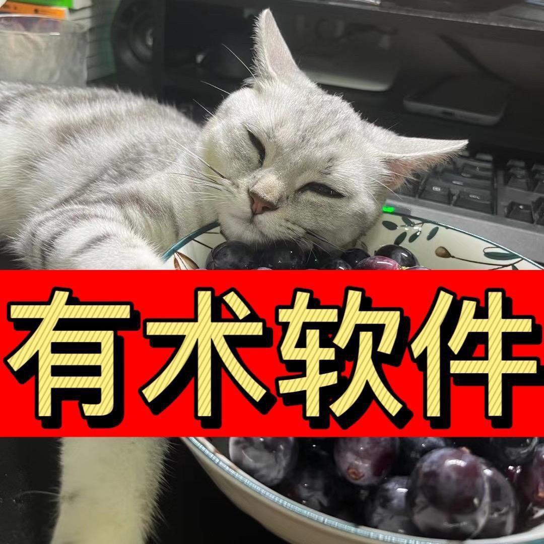 服装软件：有术软件—春梅🌈