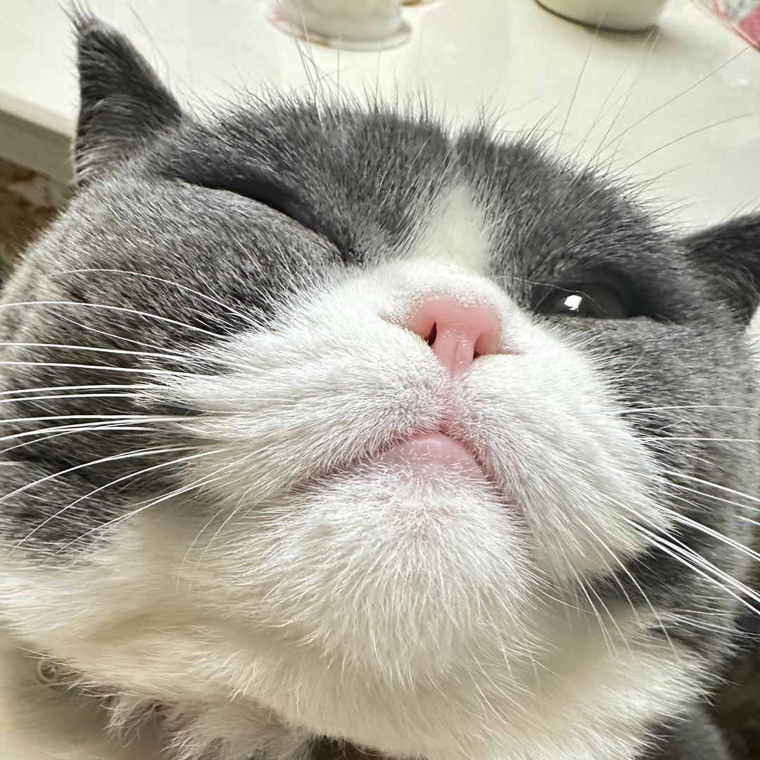 💋ꦿྂ҈可҉ꦿ᭄ོ乐҉ྂ҉ꦿ