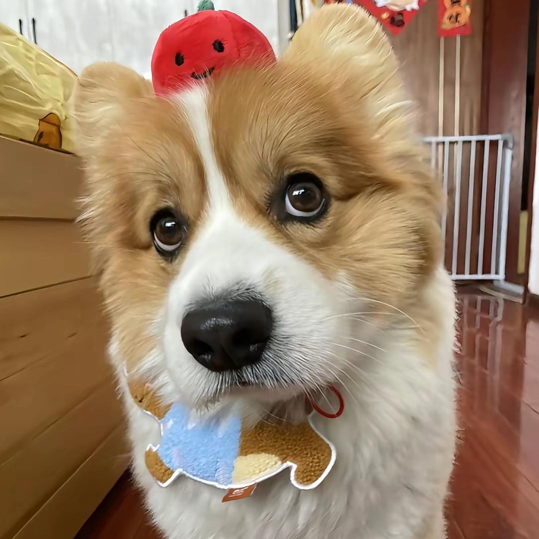 旺仔