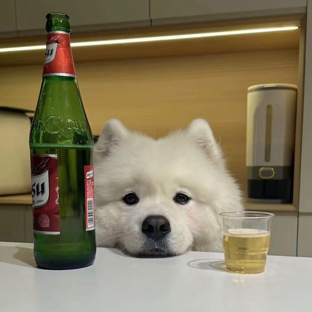 景之