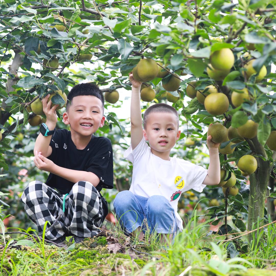 徐园椿家庭农场（四季生态果园）