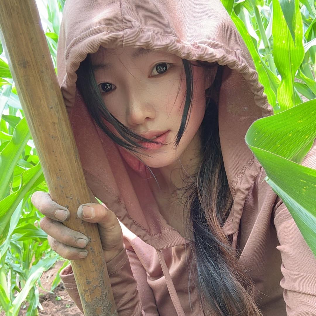苗姑娘