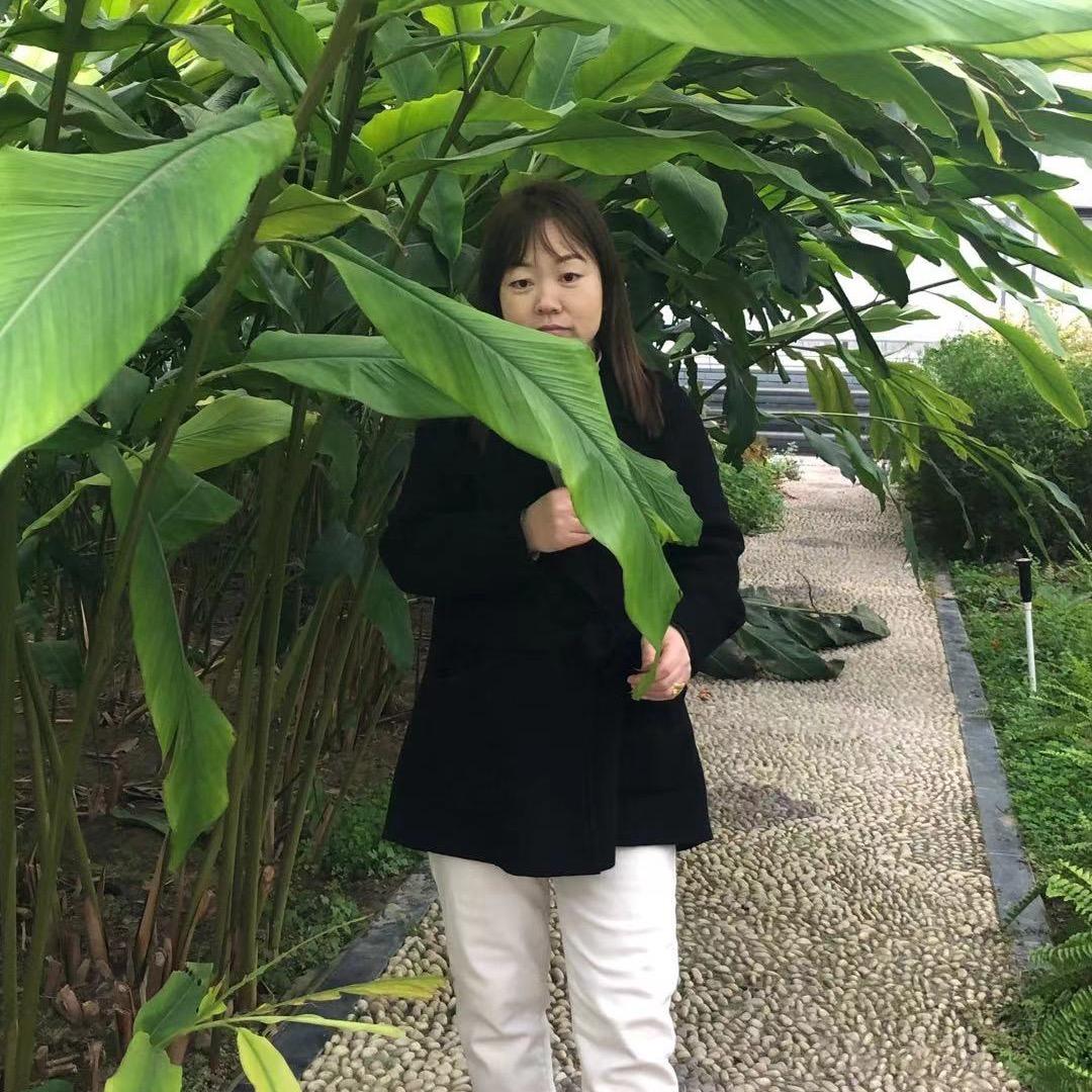 巨鹿大洋手机超市