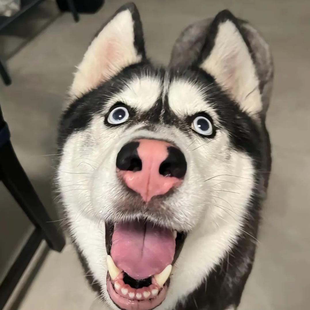 科普珠宝的-小春总