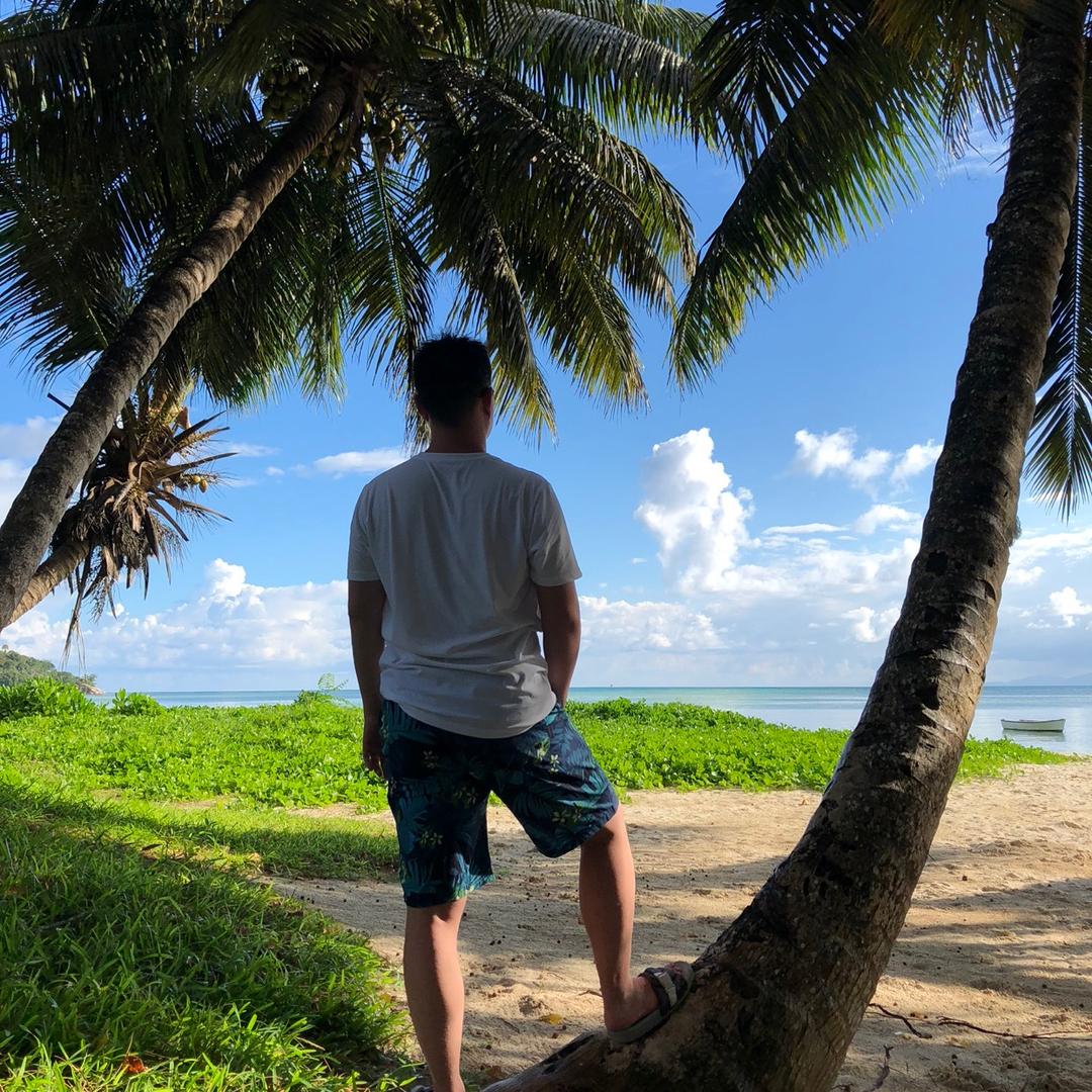 键盘侠：☝️摇